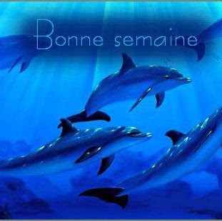 Patricia Berge Photo 12