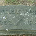 Helen Higgins Photo 8