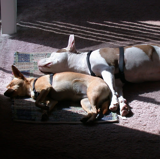 Karin Toth Photo 7