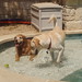 Judy Murphy Photo 6