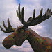 Carl Moose Photo 2