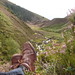 Glen Coombes Photo 3