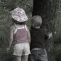 Donna Lamb Photo 13