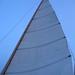 Judy Trip Photo 8