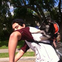 Max Trejo Photo 4