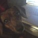 Jackie Lou Photo 9