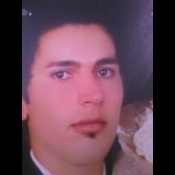 Reza Tanha Photo 32