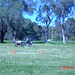 Stacey Rhodes Photo 13