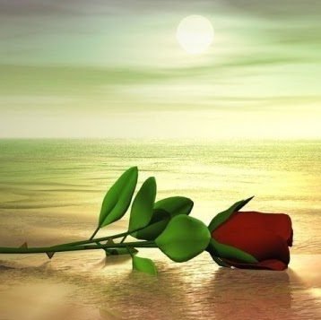 Mohammad Jawad Photo 21