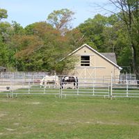 Susan Poulos Photo 8