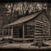 Robert Shields Photo 8