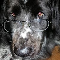 Vickie Kilroy Photo 2