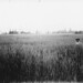 Albert Barnes Photo 9