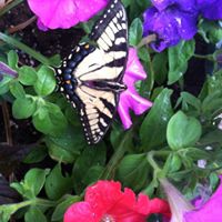 Kathleen Travers Photo 12