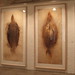 John Olsen Photo 14
