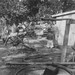 Alfred Mckinney Photo 3