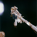 Thomas Reiter Photo 10