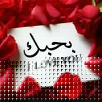Khalil Saad Photo 22