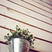 Tuan Thach Photo 9