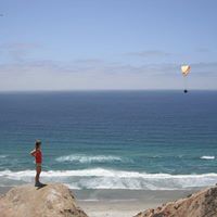 Vicki Ferraro Photo 5