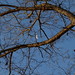 Sally Smith Photo 13