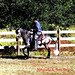 Carlos Pasos Photo 11