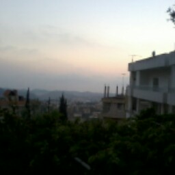 Reem Halabi Photo 17