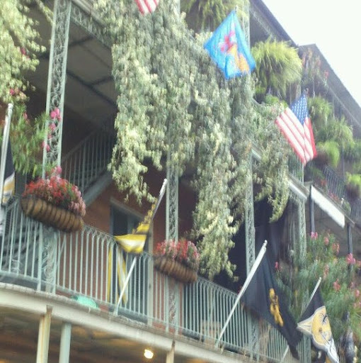 Michele Clements Photo 28