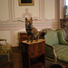 Karen Knorr Photo 7