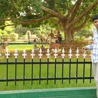 Mohammed Shakir Photo 33