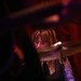 Donna Hillier Photo 5