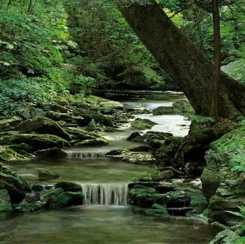 Jason Freeland Photo 12