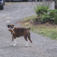 Carol Crow Photo 26