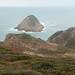 Sai Tsang Photo 7
