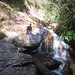 Helen Camp Photo 9