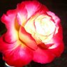 Anjana Ray Photo 8