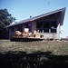 Lois West Photo 8