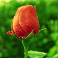 May Phyu Photo 24