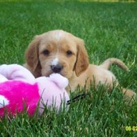 Sandy Ashcraft Photo 5