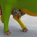 Danielle Delong Photo 7