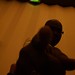Humberto Gonzalez Photo 7