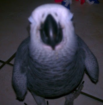 Betsy Correa Photo 12