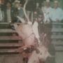 Michael Mauldin Photo 31