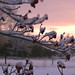 Renee Leach Photo 9
