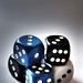 Robert Dice Photo 9
