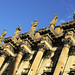 Andrew Mathieson Photo 4
