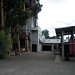 Deborah Gold Photo 8