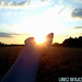 Carl Hands Photo 7