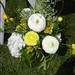 Eric Welsh Photo 16