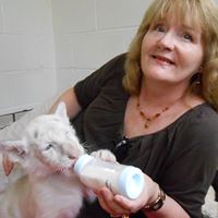 Kathy Reeder Photo 12